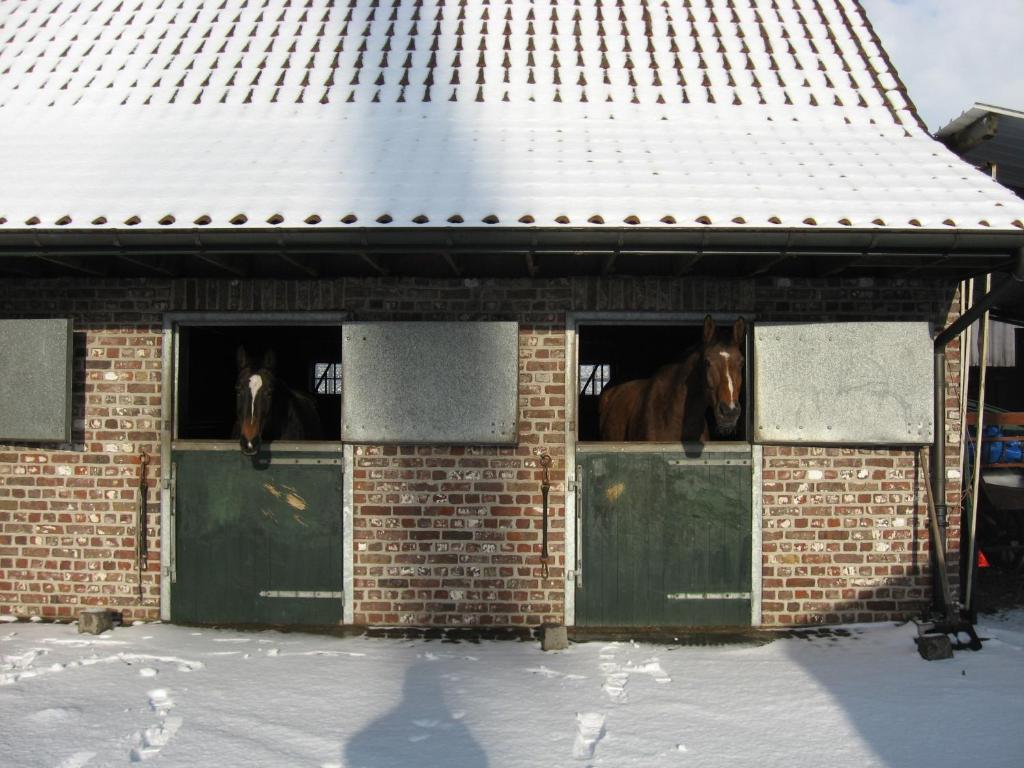 De Rosmolen Villa Ertvelde Eksteriør billede